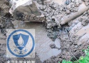 衡阳水管漏水检测公司5